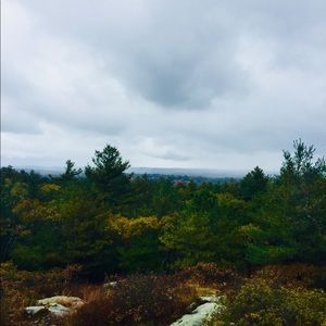 Meet your Posher, Ellie